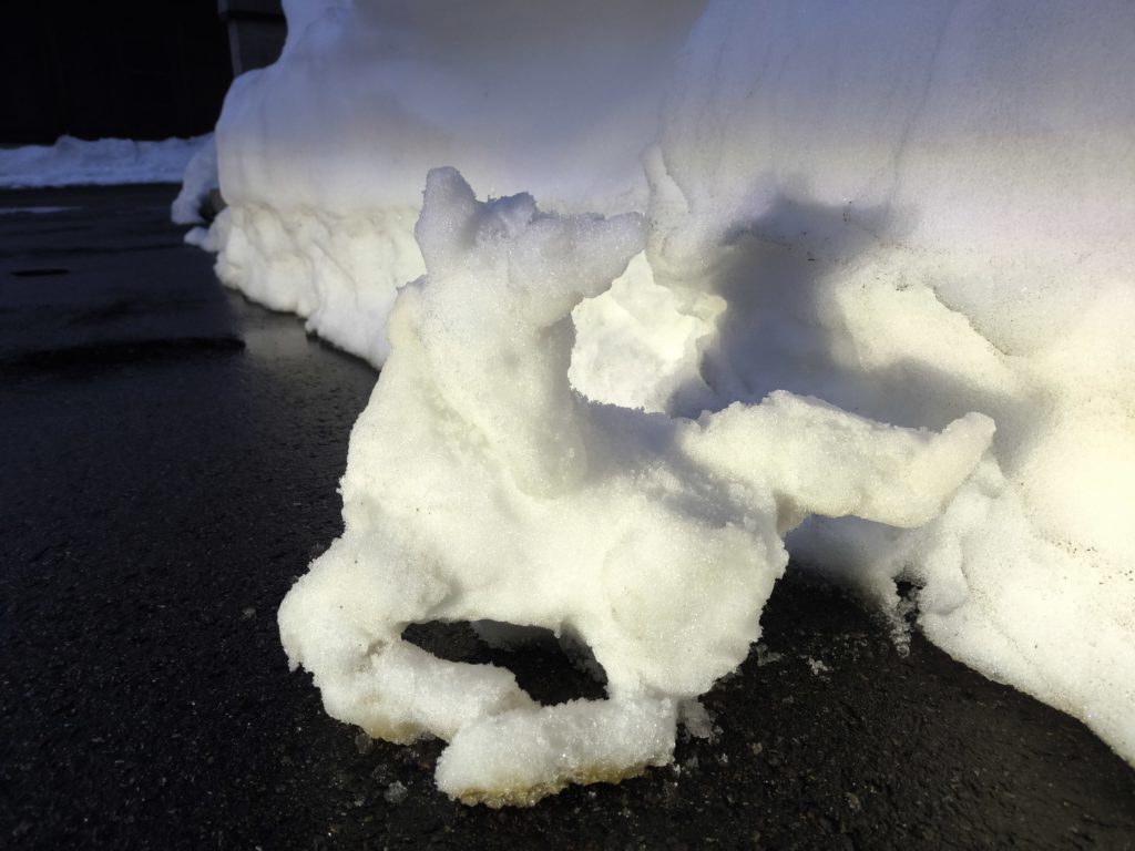 「ユニコーンの子供」_杉浦様